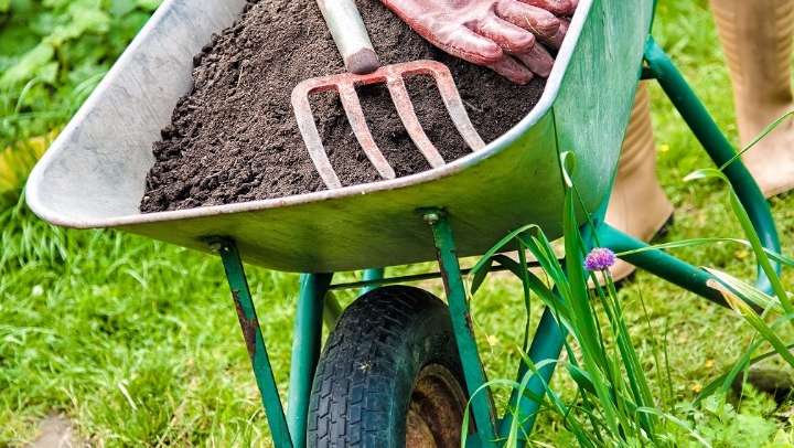 Gardening – It’s still a workout! How to avoid low back pain and knee pain